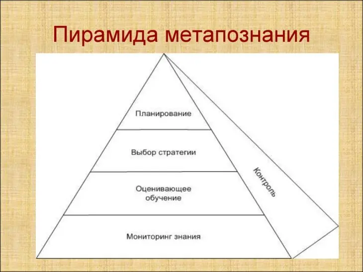 Метапознание: высшая форма интеллекта и ключ к эффективному мышлению