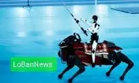 Китай производит гуманоидных роботов тысячами: как Пекин обгоняет Маска в гонке за будущее